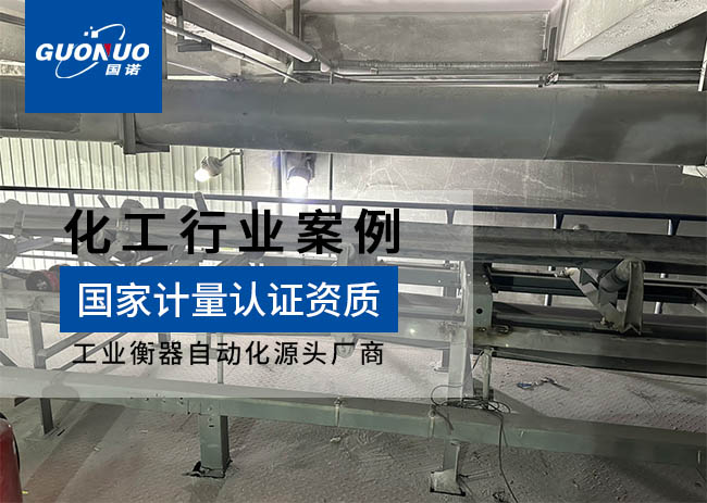 青海金榮旭貿(mào)易/察爾漢鹽湖鎂業(yè)皮帶秤項目