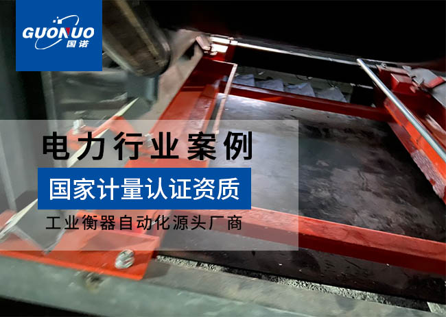 青島漢唐電力FSD高精度皮帶秤項目