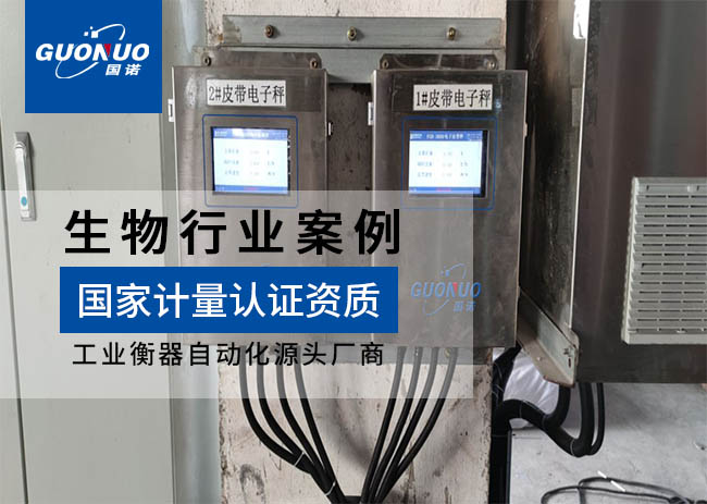 安琪酵母(柳州)皮帶秤項目