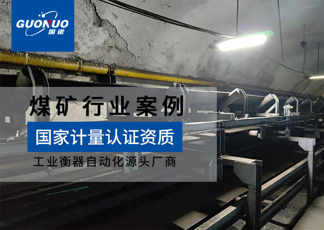 山東棗莊市福興煤礦皮帶秤項(xiàng)目
