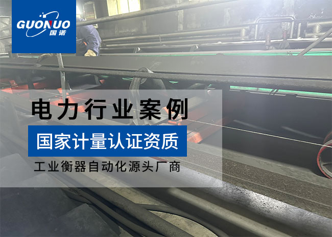 萬浦熱電矩陣式皮帶秤項目