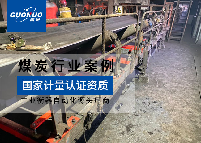 渦陽洗煤廠ICS-30電子皮帶秤項(xiàng)目