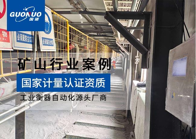 西藏巨龍銅業(yè)高精度電子皮帶秤項(xiàng)目