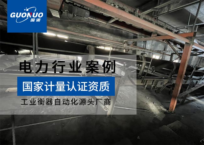 臨渙電廠皮帶秤項目