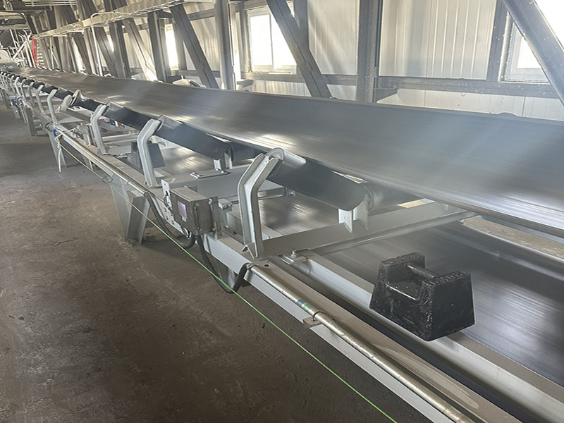 從稱重傳感器到更換整機(jī)，國諾ICS-17A防爆電子皮帶秤憑質(zhì)取勝！