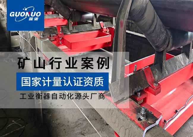 紫金天鷗礦業(yè)FSD高精度皮帶秤項目