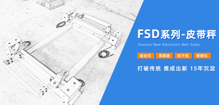 創(chuàng)新技術(shù)引領(lǐng)稱(chēng)重皮帶秤發(fā)展，國(guó)諾信科如何突破重圍