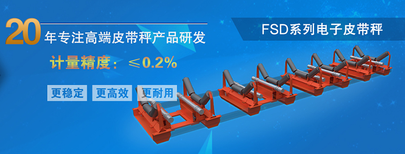 高精度電子皮帶秤